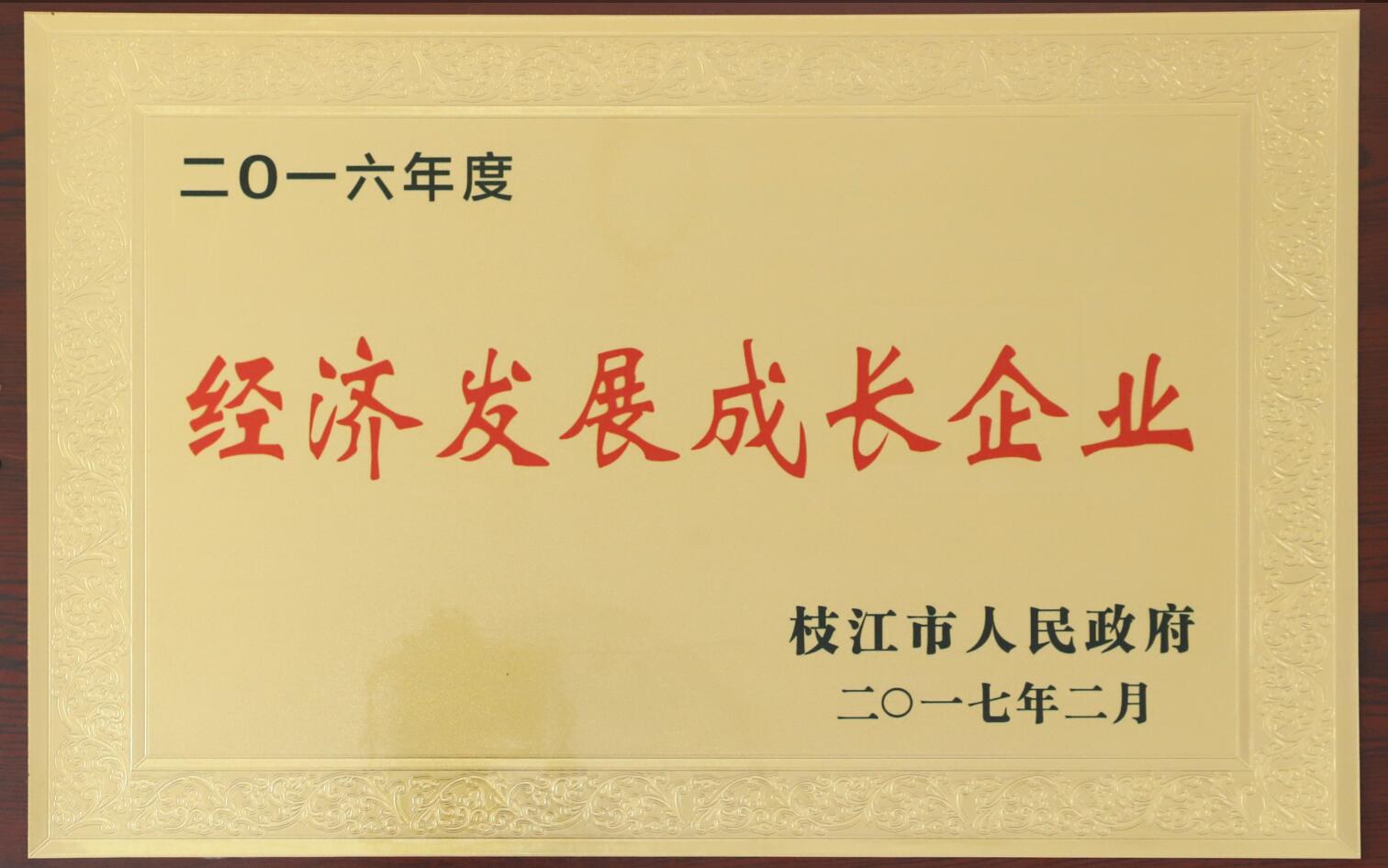 2016年度經濟發展成長企業