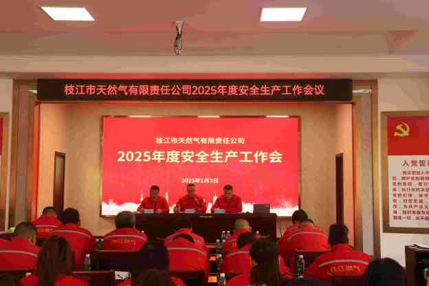 攜手共筑安全防線，共創安全生產新篇章——2025年度安全生產工作會議圓滿召開